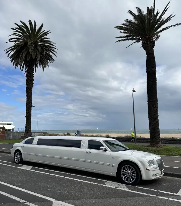 Stretch Limousine 3